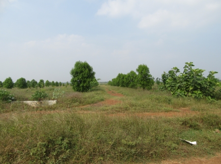 DCTP Approved Plots for Sale Besides Yerpedu to Venkatagiri National Highway